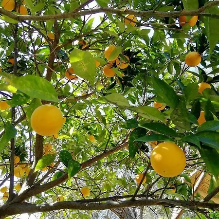 Relais Cannavacciuolo